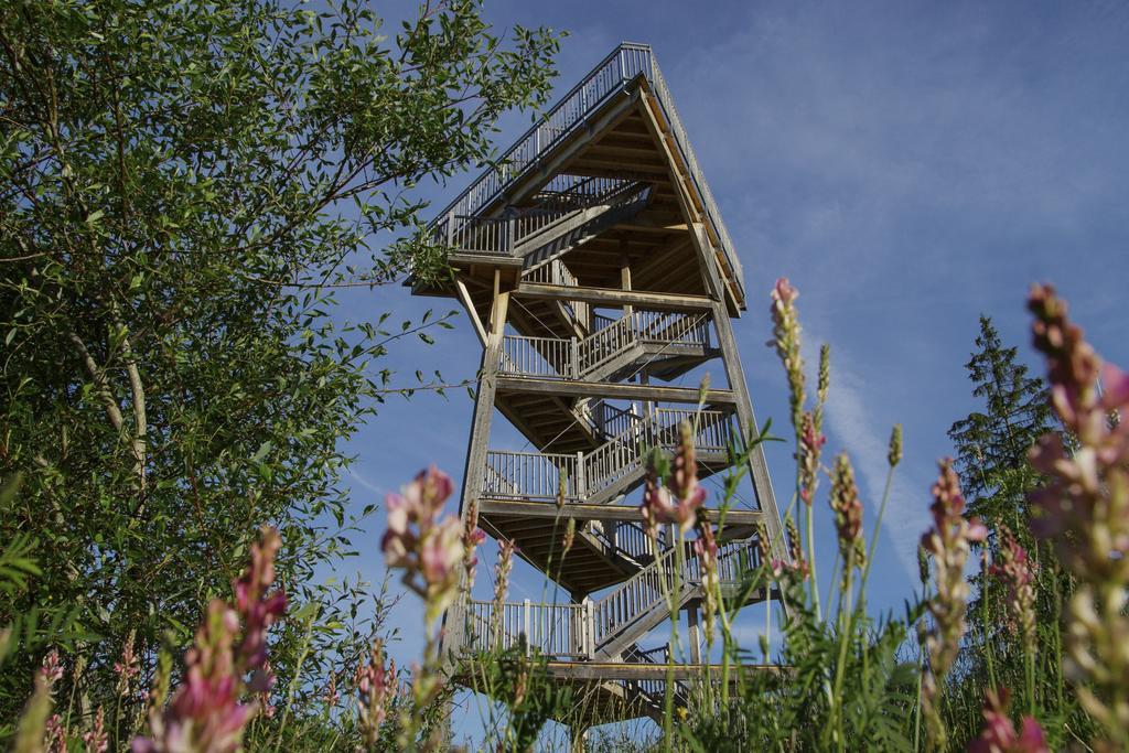 Haus Gebhard Διαμέρισμα Reutte Εξωτερικό φωτογραφία