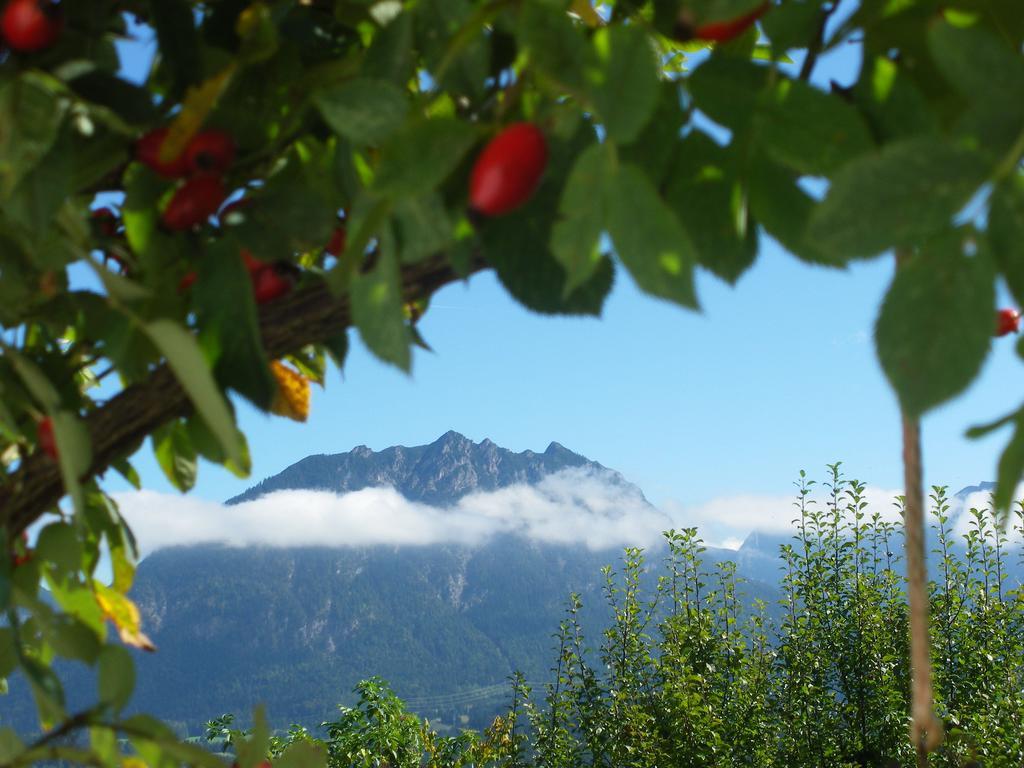 Haus Gebhard Διαμέρισμα Reutte Εξωτερικό φωτογραφία